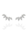 Marquise Cluster Climbers