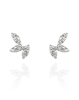 Notte - Marquise Piercing