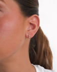 Two Diamond Drop Earrings
