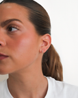 Two Diamond Drop Earrings
