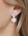 Diamond Drop Earrings