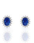 Sapphire Lady D Earrings