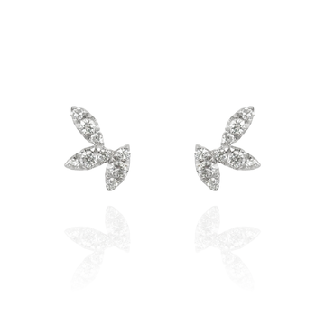 Notte - Marquise Piercing