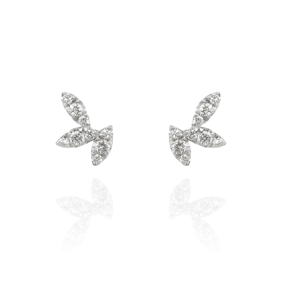 Notte - Marquise Piercing